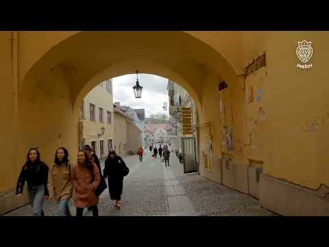Prešov, Jahodové mesto, Slovensko