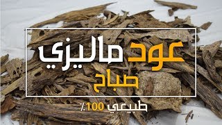 عود ماليزي صباح | عود فاخر جدا