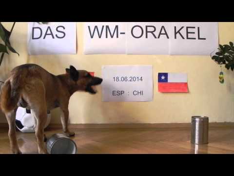 WM 2014 Oracle - Ep. 07 - Balu predicts AUS vs NED // ESP vs CHI // CMR vs CRO