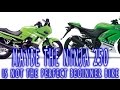 Maybe The Ninja 250 Is Not The Perfect Beginner ...
