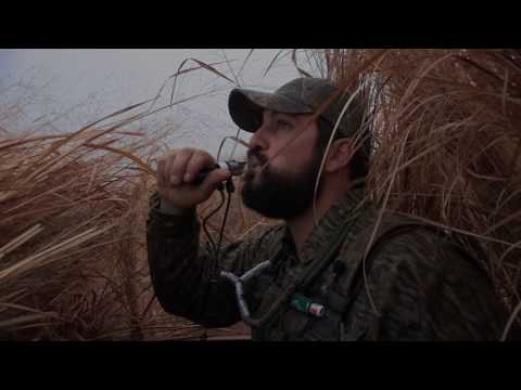 Calling Tip - Trolling Ducks in Fog