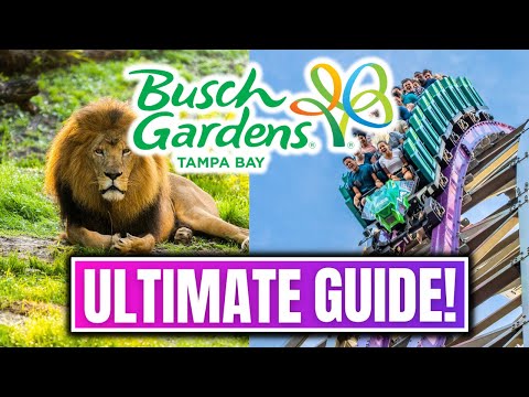 Busch Gardens Tampa Guide: Must-Know Tips To Know Before You Visit!