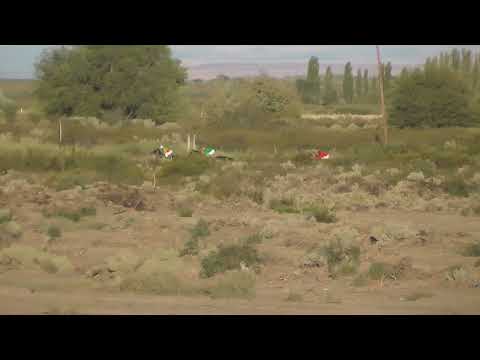 VANI  "Club Hipico Cabo Alarcon" - Picun Leufu - Neuquen - 26-02-2023