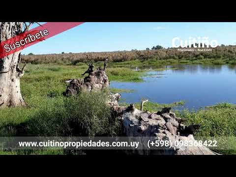 Campo 4 hectáreas con mejoras en Lavalleja Uruguay (VENDIDO)