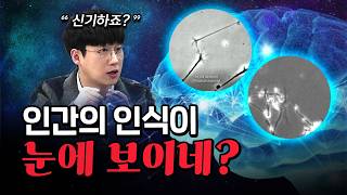 통 속의 뇌 구현?