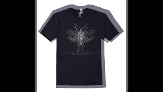 Nicole Willis and The Soul Investigators - Soul Investigator's Theme