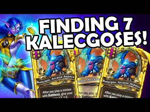 I Found EVERY Kalecgos IN THE GAME!! | Hearthstone Battlegrounds
