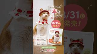 猫の帽子作ってみよう！！　#かわいい #もんちゃん #cat #ネコ #猫のいる暮らし #猫動画 #猫のいる生活 #ねこ #猫用帽子 #出版 #かぎ針編み #初心者