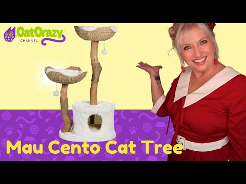 Why do Cats like to scratch? Great solution: Mau Pets Cat Tree -  😻 CatCrazy