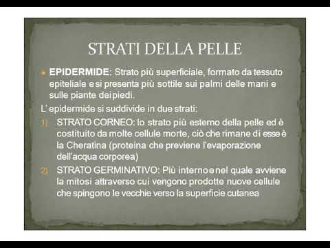 Audio  Elementi di anatomia e fisiologia umana   APPARATO TEGUMENTARIO
