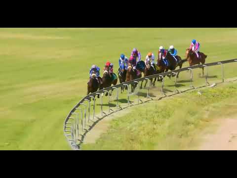 WILLIAM RUFUS - race 3 #HollywoodbetsDurbanville 19 October 2022