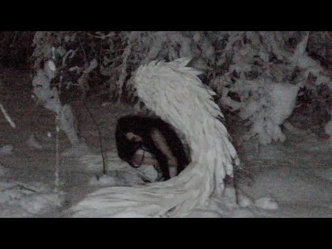 ICY ICY (Official Video) - Ashley Sienna