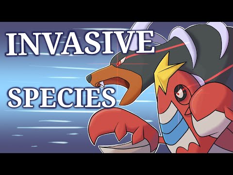 Every Secret Home Region of Pokemon