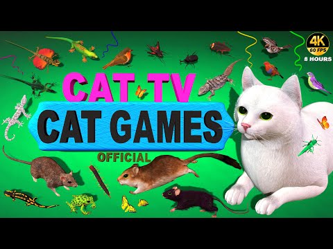 CAT GAMES COMPILATION | VIDEOS FOR CATS TO WATCH CAT TV ON SCREEN | 8 HOURS ENTERTAINMENT FOR CATS
