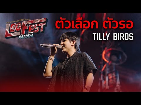 ตัวเลือก ตัวรอ - Tilly Birds  l LEO FEST พัทยา