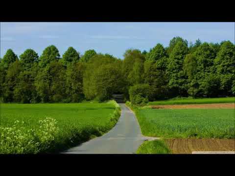 Manu Negrea-Pribegi ca Moise în pustie