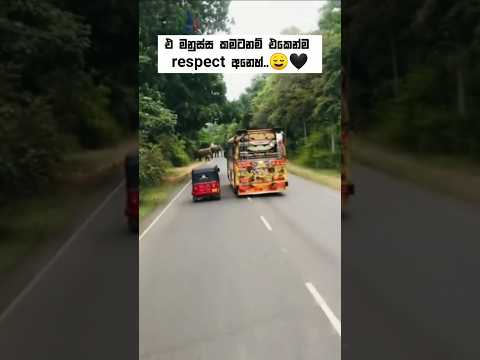 එකෙන්ම respect 😌🖤#bussid #newbusvideo #automobile #1millon #fyp #trending