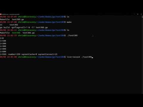 Debugging a Go application with time travel debugging