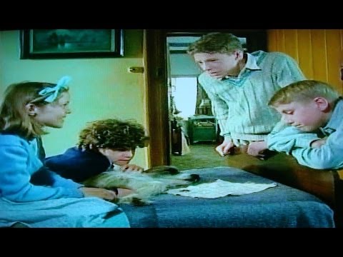 Famous Five Go Adventuring Again