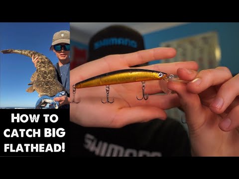 How To Catch BIG Flathead! (Everything You Need To Know)