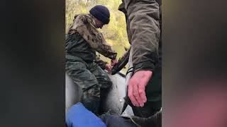 Рыбалка на реке горин хабаровского края