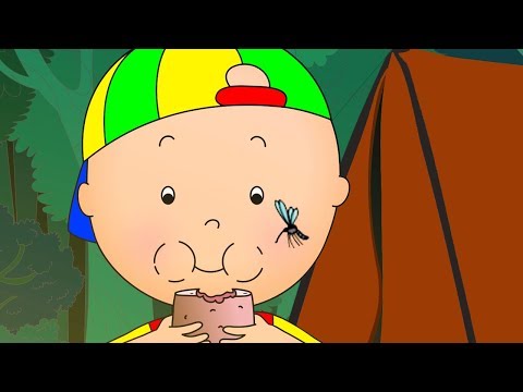 Caillou em Português ★ Caillou e o Acampamento ★ Episódios Completos ★ Desenho Animado ★ NOVO