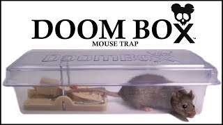 The DOOM BOX Mouse Trap.                                      Mousetrap Monday.