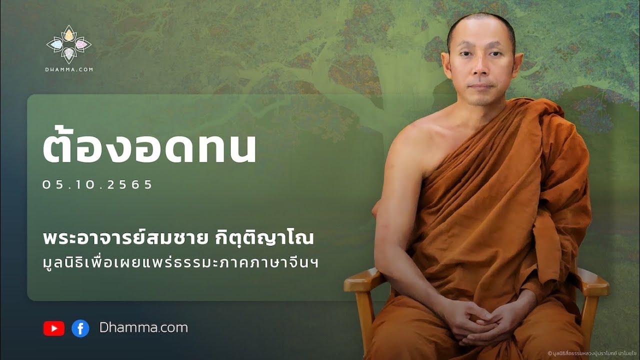 รูปภาพ ดาวโหลด Google Youtube SEO