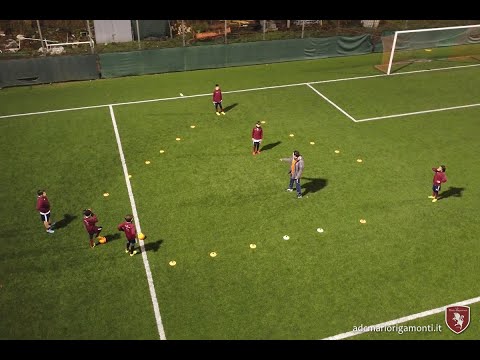 Drone Pulcini 2’ anno Riga2010