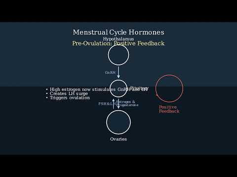 Feedback Mechanism – Definition, Types, Mechanism, Examples - Video