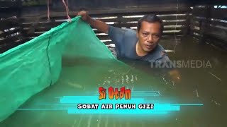 Download lagu Sobat Air Penuh Gizi | SI OTAN (13/11/23) mp3
