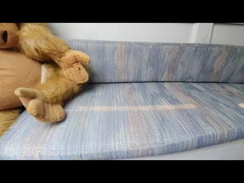 Macgregor 26 boat / yacht Interior