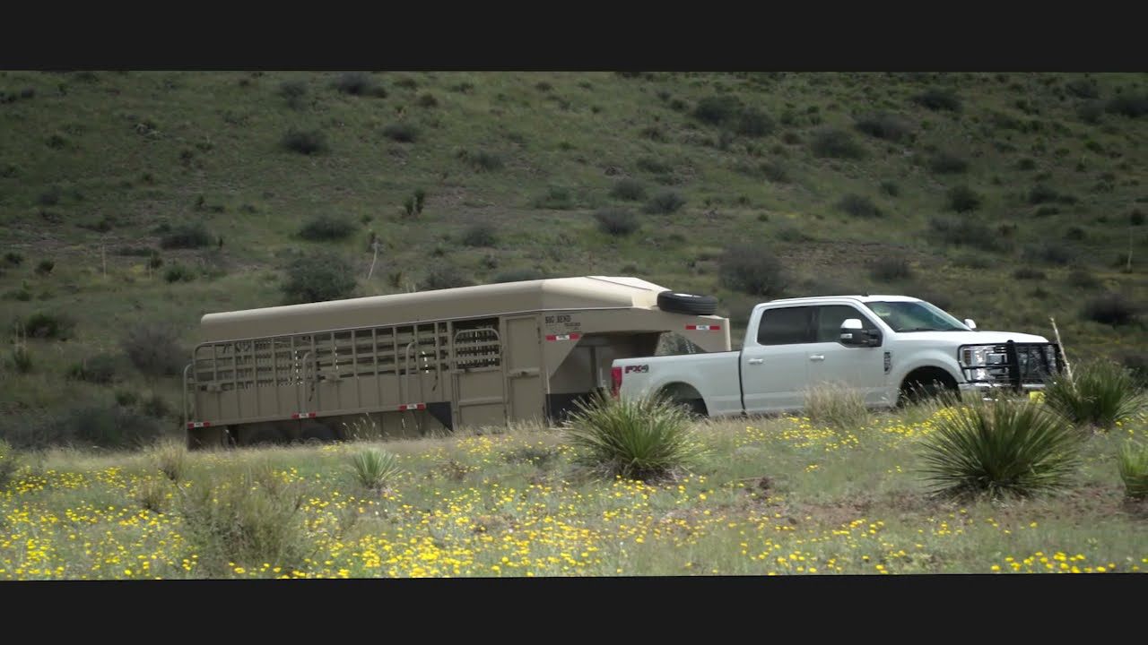 2026 Big Bend Trailers 22' w/ 2' Saddle Box and Stacked Dog Boxes Stock Trailers