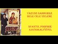 Vazuse Gandurile Mele Cele Viclene Sfantul Porfirie Kavsokalyvitul