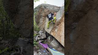 Video thumbnail of Problem 80 (Thémis), 5. Targassonne