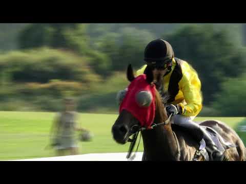 KV, 9. 8. 2020, 7. dostih - Cena MYDLÁŘKY BENEŠOV