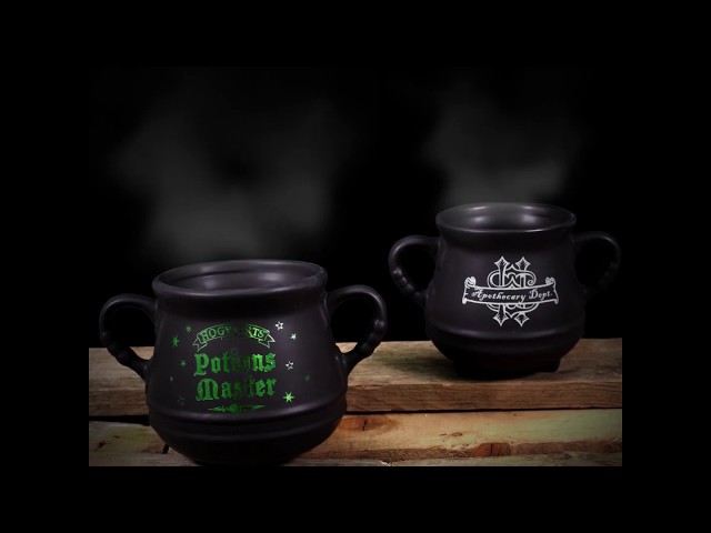 Vídeo relacionado con Half Moon Bay MUGBHP63 Harry Potter - Tazas diarias Slytherin 400 ml