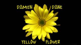 Damien Dane - Yellow Flower (KT Tunstall Cover)