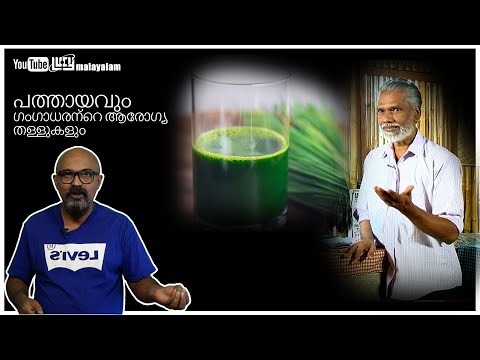 പത്തായവും ഗംഗാധരന്റെ ആരോഗ്യ തള്ളുകളും | Pathayam Gangadharan | Lucy | Chandrasekhar R
