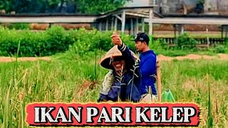 Download lagu Spot jembatan biru // mancing rawa pening terbaru mp3 Download lagu Spot jembatan biru // mancing rawa pening terbaru mp3