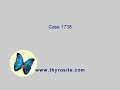Case 1738