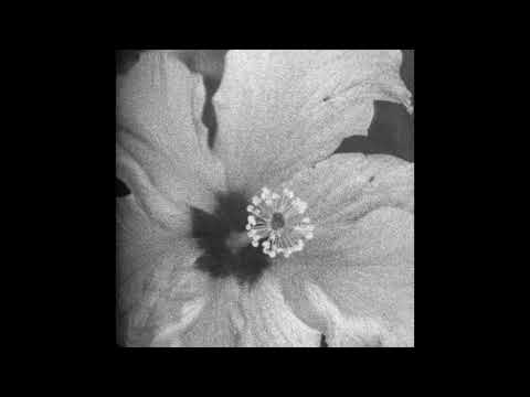 *FREE* Grunge x Metal x Alternative Rock Type Instrumental - "Harmless" || + anticøn