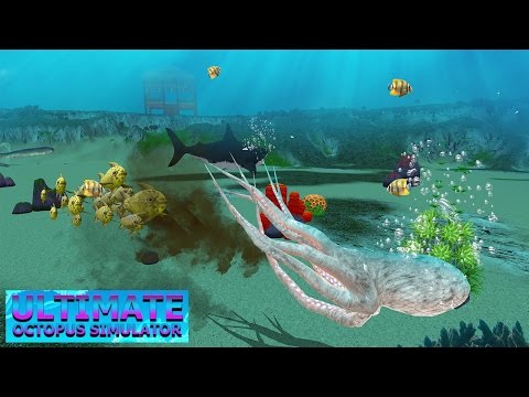 Ultimate Octopus Simulator Video