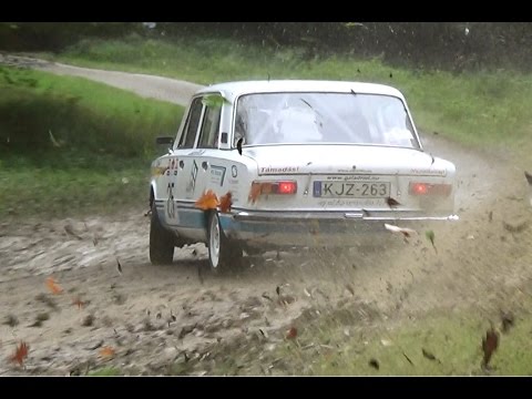 50.Új Ház Centrum Léta-Ker Mecsek Rallye 2016.movie-Lepold Sportvideo