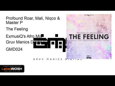 Profound Roar, Mali, Niqco & Master P - The Feeling (ExmusiQ's Afro Mix)