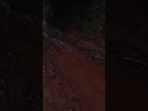 #minasgerais #interiordeminas #paisagemnatural  #passeio #roça #viral #youtubeshorts #ytshortindia