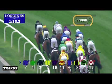 Dubai World Cup 2017: Race 3 - Dubai Gold Cup sponsored by Al Tayer Motors
