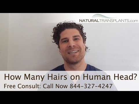 How Many Hairs Are on the Average Human Head? [Comprehensive Answer]
