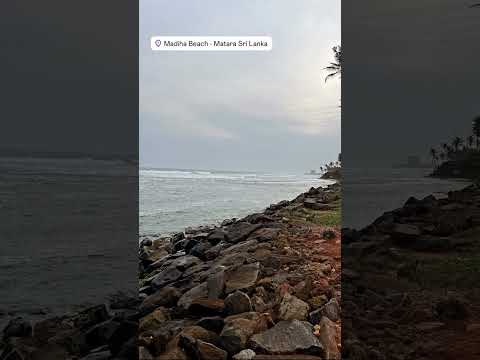 Madiha Beach 🇱🇰 🛩🛥⛱🌴🐋🐘🐆🏄