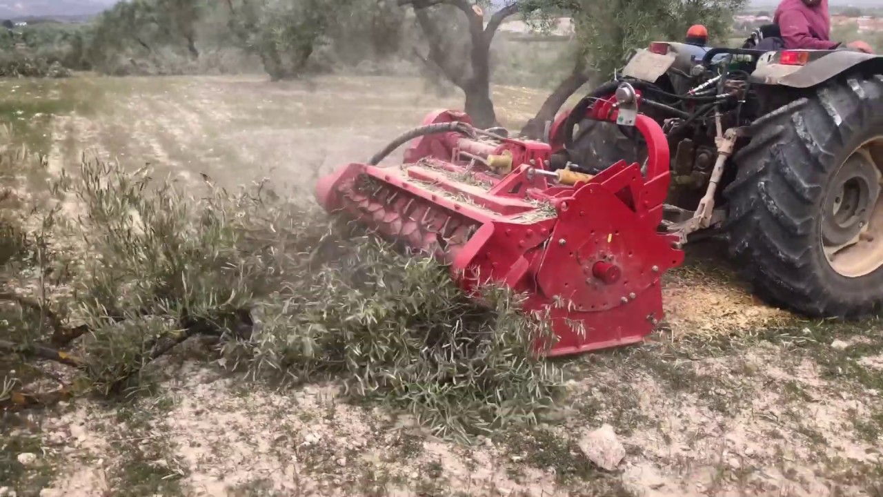 IMPRESIONANTE Trituradora de retos poda GRANDE, con tractor 85 cv . SEPPI m. Miniforst pick up .